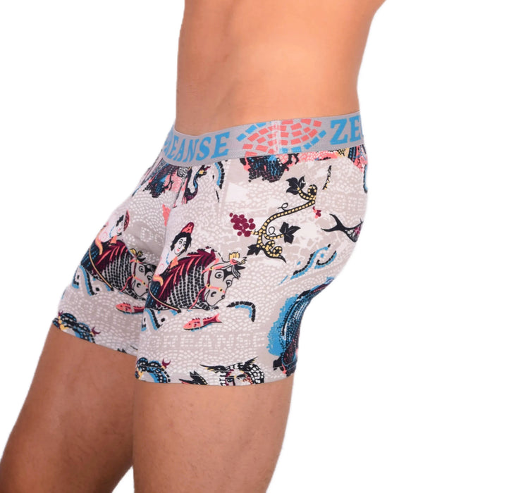 DOREANSE Boxer Poséidon Long Boxer Homme Trunk 1806 8