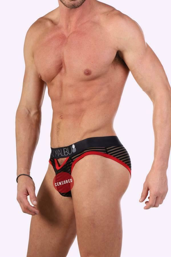 JJ MALIBU Sheer Stripped Gotham Briefs 2
