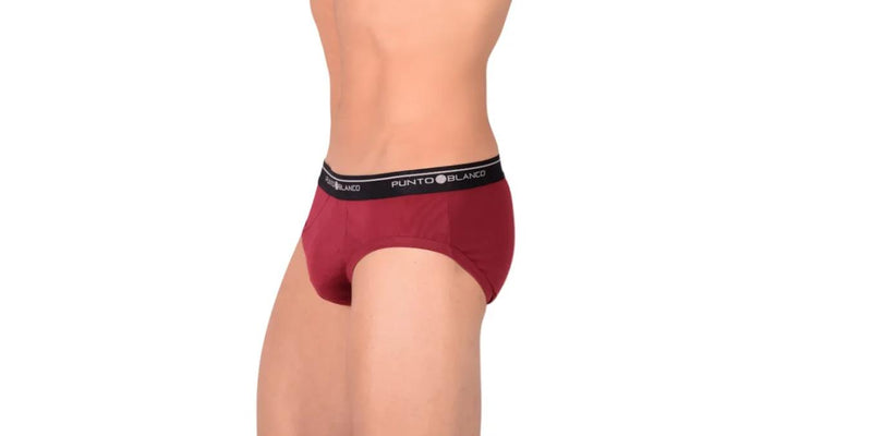 Small PUNTO BLANCO Basix Classic Cotton Brief Burgundy 53489 P1