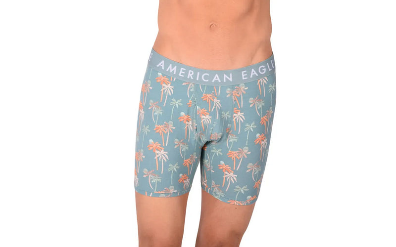 Medium Boxer  American Eagle With Fly Front Palm Trees AE1