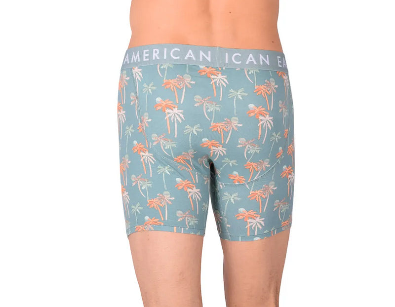 Medium Boxer  American Eagle With Fly Front Palm Trees AE1