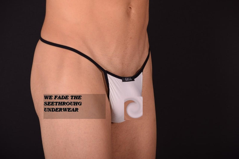 Small Gregg Homme Sheer White G-String 22B