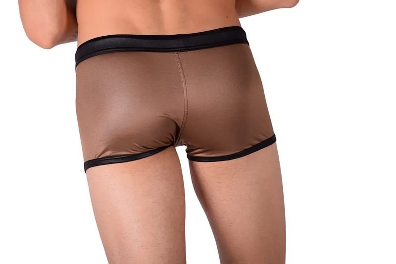 Small Swim Shorts Gregg Homme Swimwear Copper 60024 MX23
