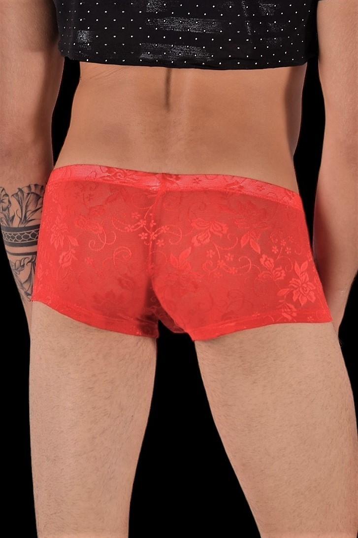SMU Boxer Aristocrat Lace Sheer Mini Hipster Red 100705 H53