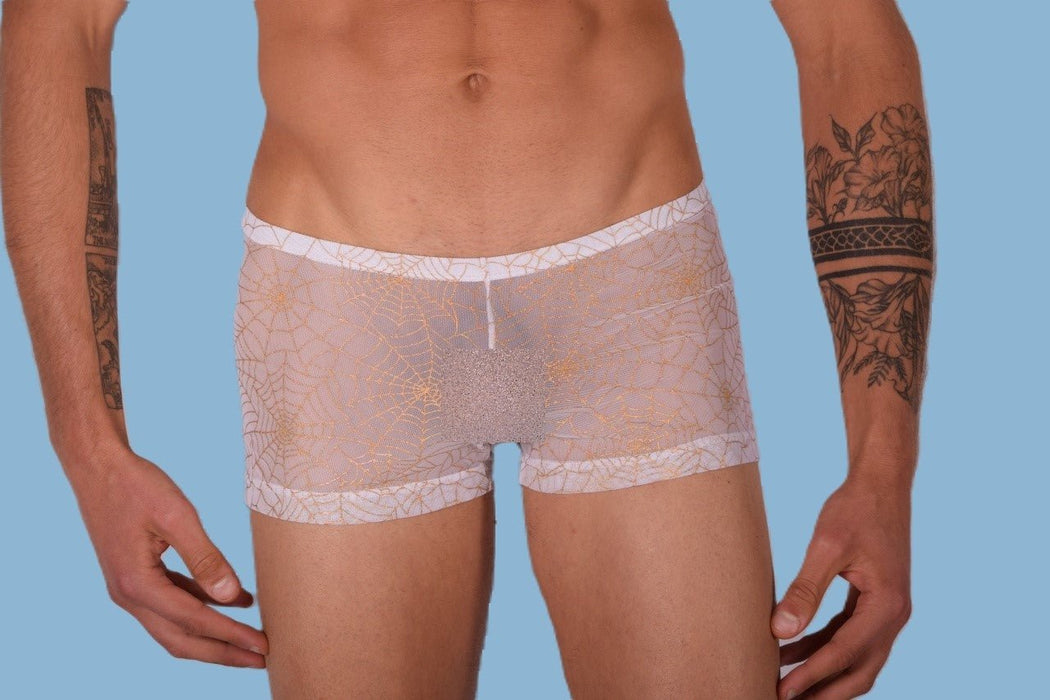 2XS/XS SMU Mens Hot Sheer mini Boxer hipster 33310 MX11 - SexyMenUnderwear.com