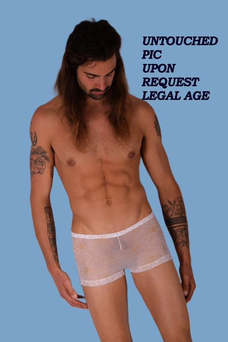 2XS/XS SMU Mens Hot Sheer mini Boxer hipster 33310 MX11 - SexyMenUnderwear.com