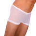 2XS/XS SMU Tanning Walking around C - Thru White Mini Boxer MX19 340325