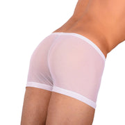 2XS/XS SMU Tanning Walking around C - Thru White Mini Boxer MX19 340322