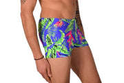 XS SMU Swim Hipster Underwear Wild Plants 43149 MX12