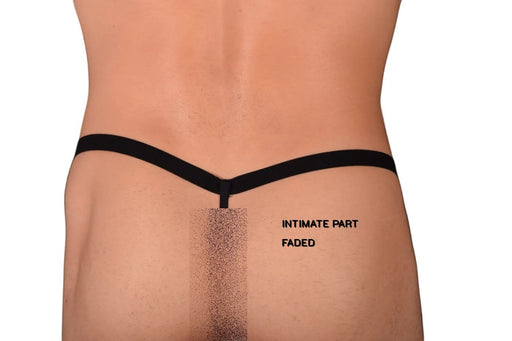Large Gregg Homme Sky G-String 3058 C22
