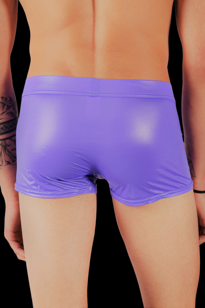 SMALL Gregg Homme Trunk Boytoy Silky Look Undies Purple 95055 148