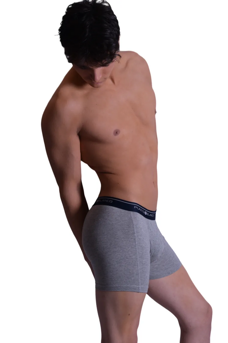 Punto Blanco Boxer Anatomic Open Fly Gray Blue Band 3393 23