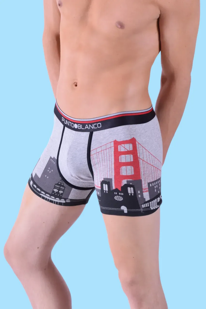 Punto Blanco Boxer San Francisco Cities Boxer Long Gris 3437 8