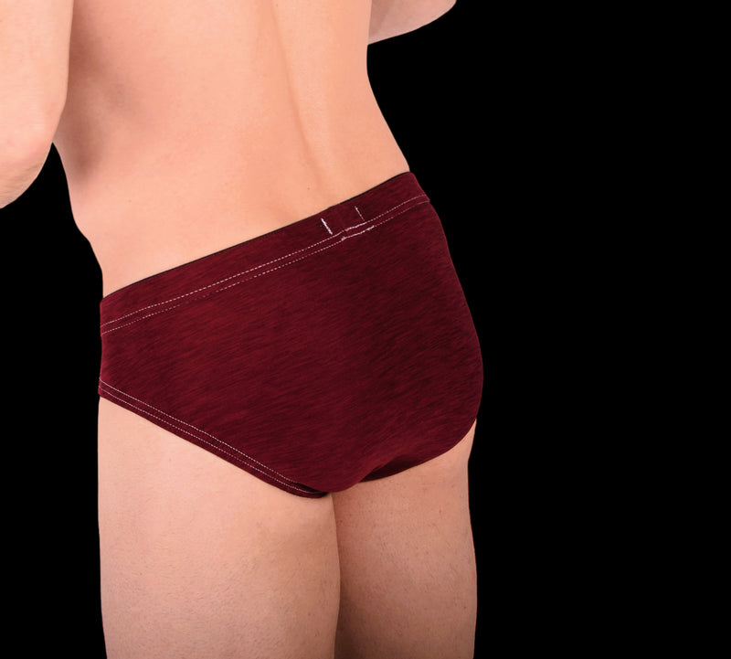XS SMU Peekaboo Removable Leather Pouch Burgundy Brief H2