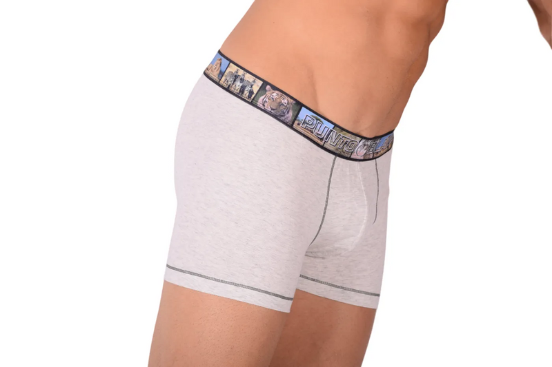 Small Punto Blanco Boxers Grey 3390 TAB8