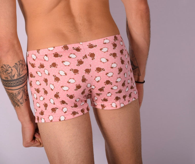 Boxer hipster XS/S SMU 43123 MX12