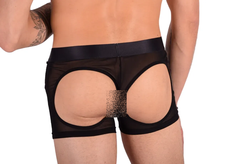 LARGE JJ MALIBU Sheer Opened Back Boxer Briefs Backless 2