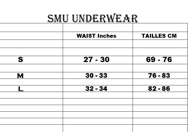 SMU Boxer Sheer Molding Boxer Briefs Hipster in Purple 100715 H62