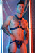 BREEDWELL Dic*matized Harness Geometric Pattern in Blue 47 - SexyMenUnderwear.com