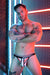 BREEDWELL Locker - Room Briefs Sporty High - Leg Black Brief - SexyMenUnderwear.com