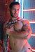 BREEDWELL Locker - Room Harness Tension Sliders Stainless Steel Hardware Grey - SexyMenUnderwear.com