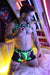 BREEDWELL Neo Camo 3 - Way Harness Removable Back & Lobster Claw Clip Neon Green - SexyMenUnderwear.com