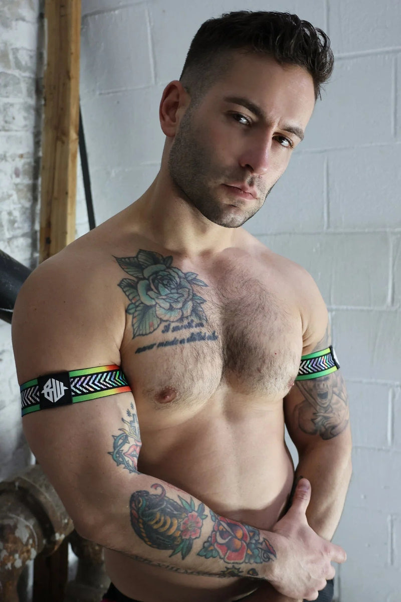 BREEDWELL Pure Pride Armbands Rainbow Holographic Foil Chevron 466