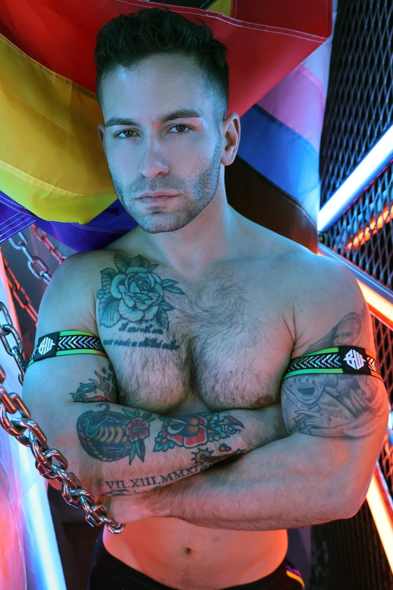 BREEDWELL Pure Pride Armbands Rainbow Holographic Foil Chevron 4612