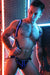 BREEDWELL Transistor Neoprene Slingshot Body - Harness With Jock Blue - SexyMenUnderwear.com