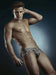 Brief PIKANTE Clay Anatomic Briefs Shaped Pouch Tiger Print 8718 2 - SexyMenUnderwear.com