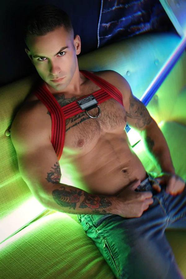 BREEDWELL Cumdump Bulldog Harness Soft Woven Nylon in Red 25