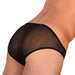 Doreanse Sheer Mini Briefs Mens Underwear Night Tease Black 1301 8 - SexyMenUnderwear.com