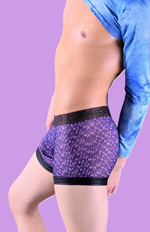 Gregg Homme Second Skin Boxer Ubass Trunk Purple 141005 16 - SexyMenUnderwear.com