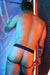 Jock BREEDWELL Dic*matized Jockstrap Peek - a - Boo in Blue 49 - SexyMenUnderwear.com