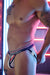 Jockstrap BREEDWELL Locker - Room Jock Molded Metal Buckles in Navy Blue White1