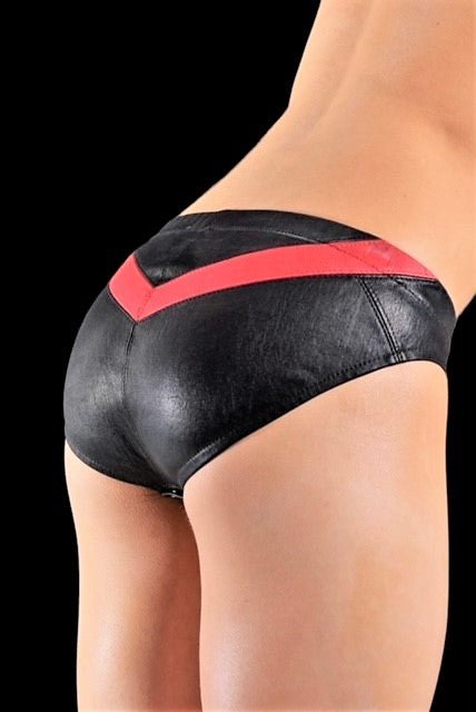 Large SMU Leather KIT Brief Harness Black Red 34150 MX215