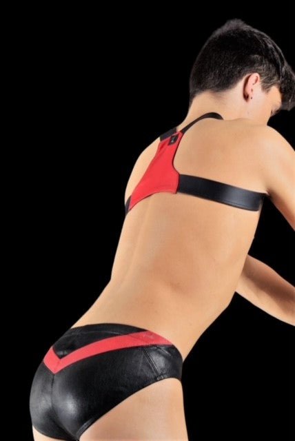 Large SMU Leather KIT Brief Harness Black Red 525965 MX9 - SexyMenUnderwear.com