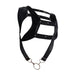 MOB DNGEON Crop Top Harness With C - Ring Leather Look Black - Mamba DMBL08 - SexyMenUnderwear.com