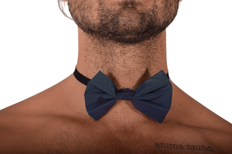 MR. RIEGILLIO Beautiful Bow Tie BLUE 11