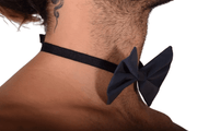 MR. RIEGILLIO Beautiful Bow Tie BLUE 13