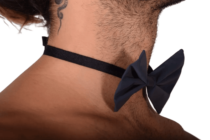 MR. RIEGILLIO Beautiful Bow Tie BLUE 13