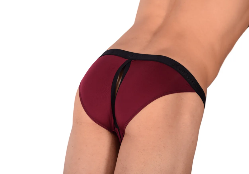 PIKANTE Virgin Bikini Briefs Sexy Back Opening Brief Purple Grape 0840 1