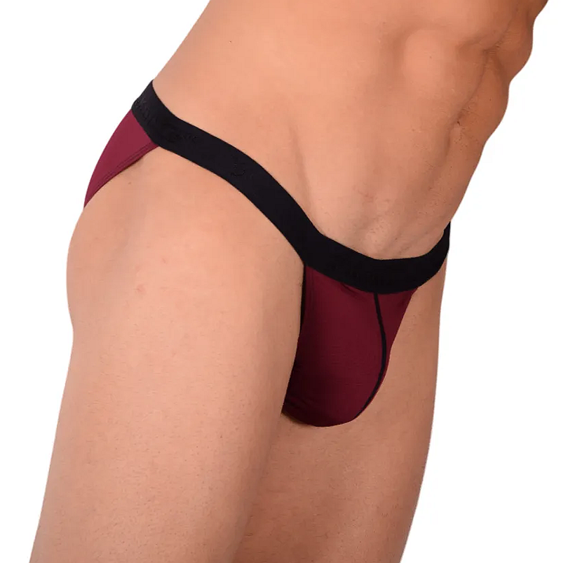 PIKANTE Virgin Bikini Briefs Sexy Back Opening Brief Purple Grape 0840 1