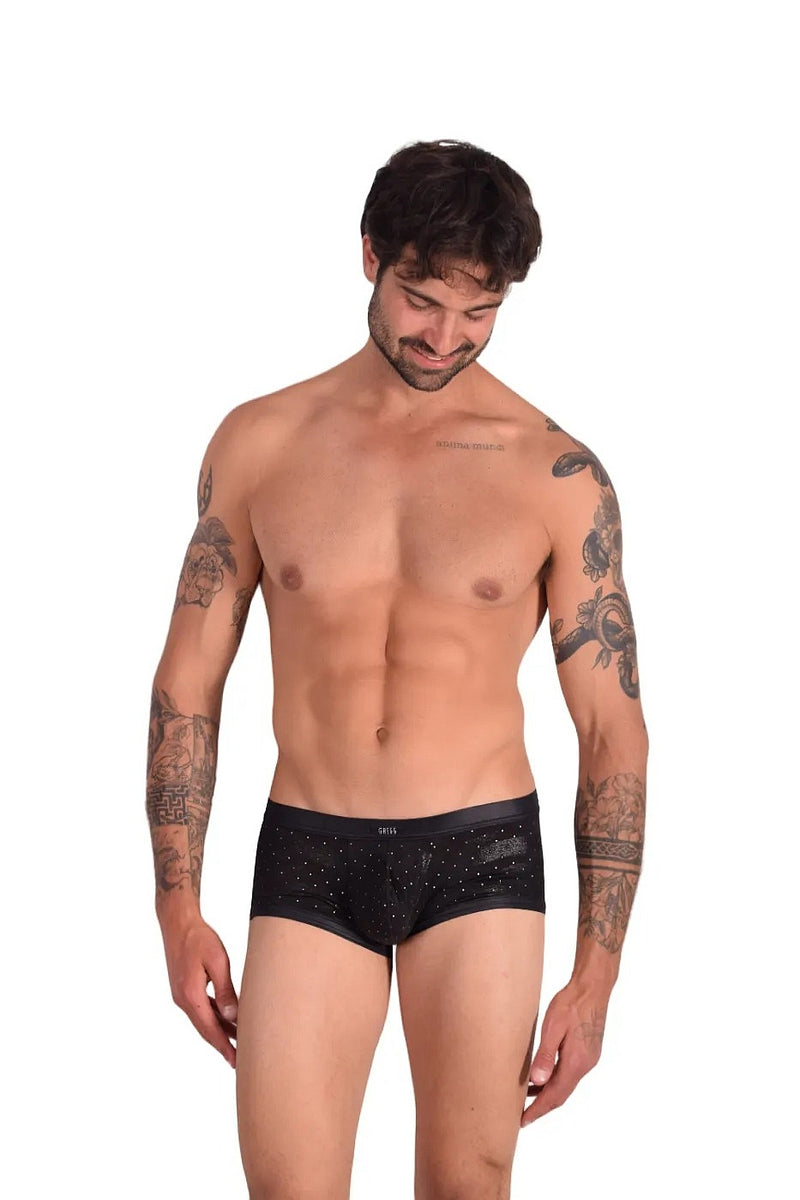 Gregg Homme Adonis Boxer Briefs 1100 11-36