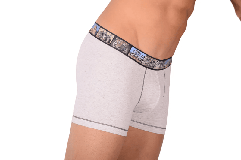 Small Punto Blanco Boxers Grey 3390 TAB86