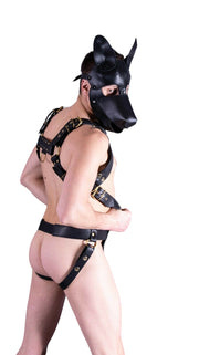 SMU Leather Shop Kit Harness  Jockstrap Gold Ring  Snap 31-36 in