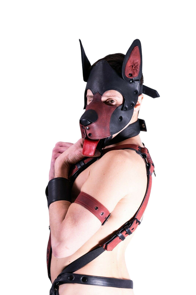SMU Men Leather Brown Kit Puppy Mask Collar Harness Jock Band Fit 31-36 in