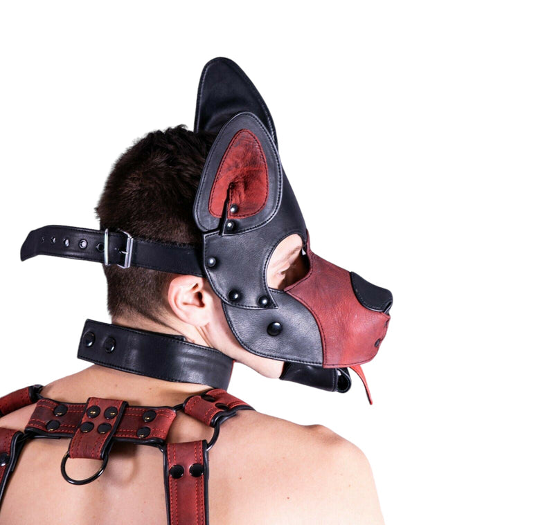 SMU Men Leather Brown Kit Puppy Mask Collar Harness Jock Band Fit 31-36 in