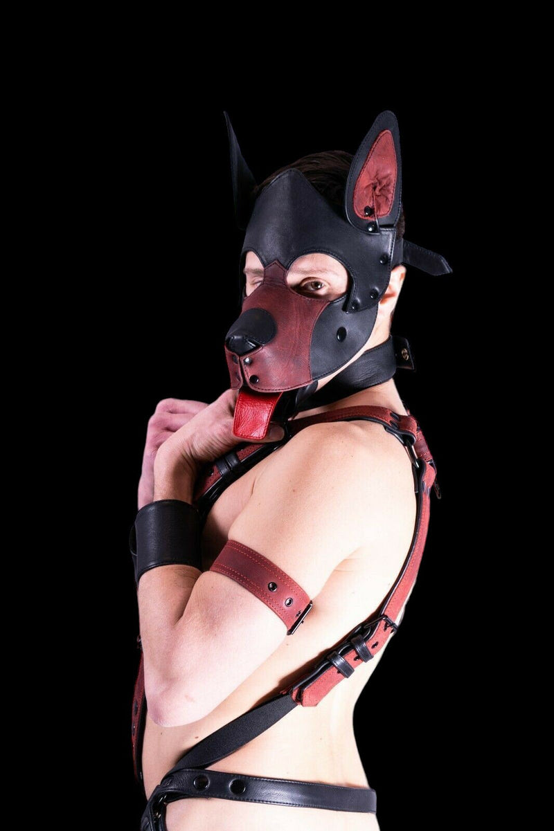 SMU Men Leather Brown Kit Puppy Mask Collar Harness Jock Band Fit 31-36 in