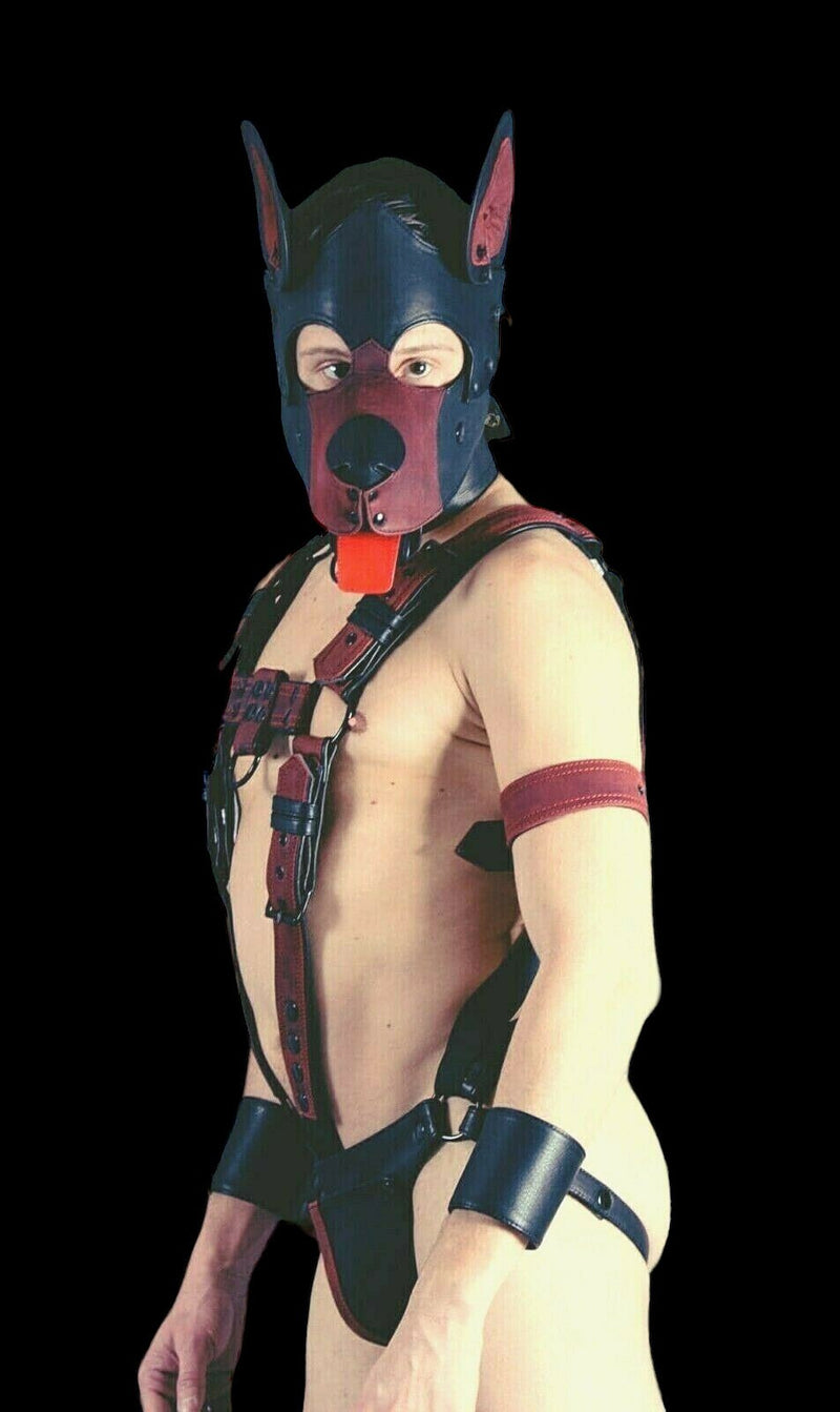 SMU Men Leather Brown Kit Puppy Mask Collar Harness Jock Band Fit 31-36 in